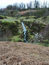 untitled image