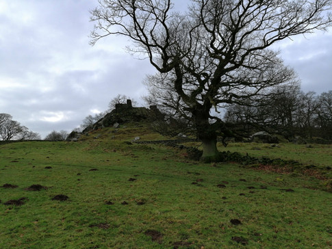untitled image